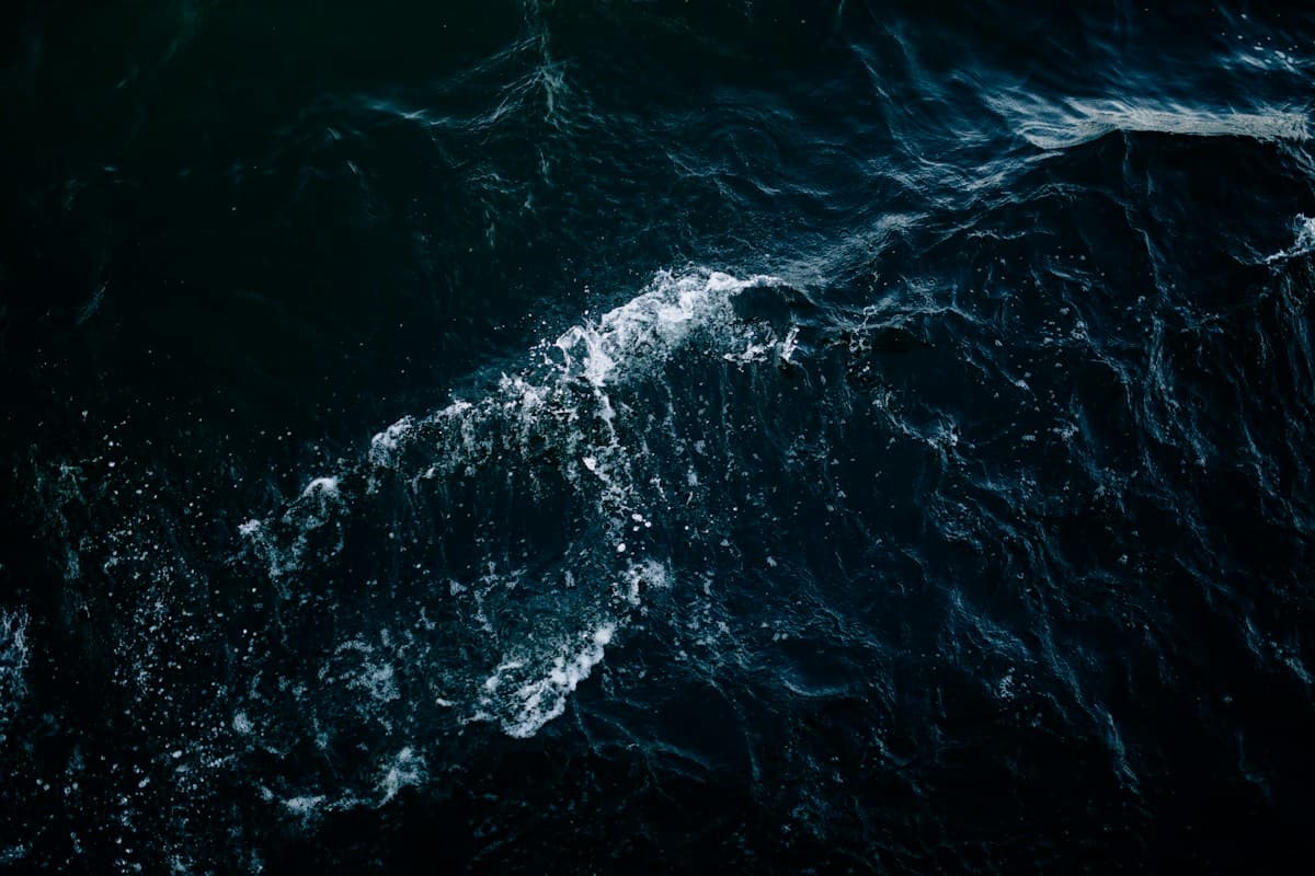 Dark rippling water